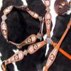 Showman Multi-Colored Beaded Cross Design Leather Headstall & Breast Collar Set view 4
