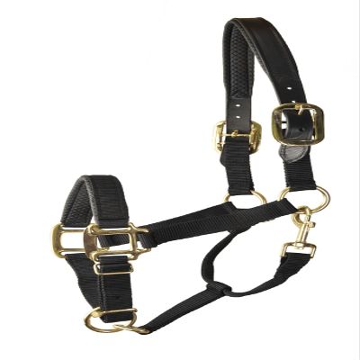 Gatsby Prem Nylon Padded Halter Horse Black