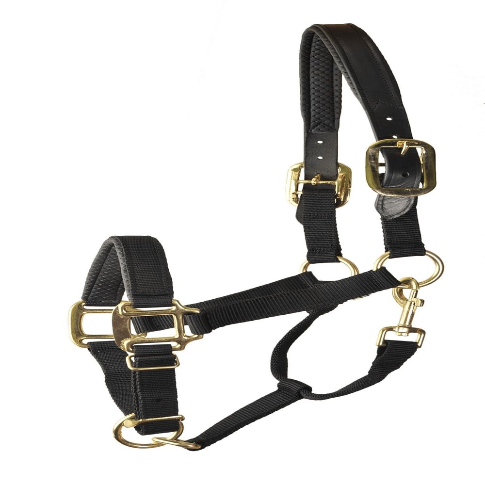 Gatsby Prem Nylon Padded Halter Horse Black