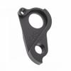 Pilo Derailleur Hanger D484 (Canyon) view 1
