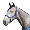 Kensington Premium Halter with Padded Nose Stronger Than Leather Padded Nose Piece Adds Comfort and Control Throat Snap for Identical Fit - X-Large, Kentucky Blue view 1