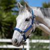 Kensington Premium Halter with Padded Nose Stronger Than Leather Padded Nose Piece Adds Comfort and Control Throat Snap for Identical Fit - X-Large, Kentucky Blue view 2