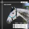 Kensington Premium Halter with Padded Nose Stronger Than Leather Padded Nose Piece Adds Comfort and Control Throat Snap for Identical Fit - X-Large, Kentucky Blue view 4