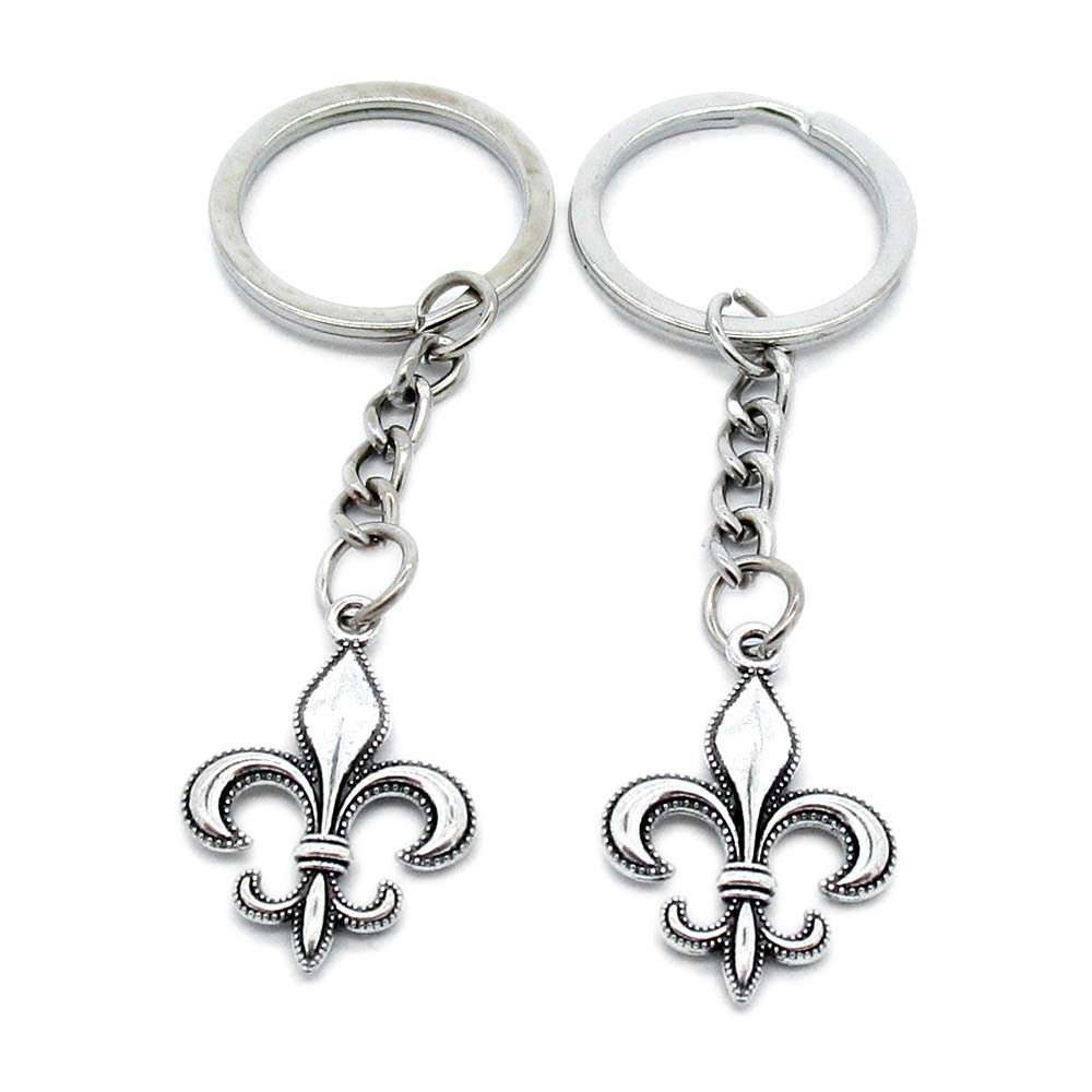 1 Item Metal Keychain Keyring Key Tags Chains Rings Jewelry Bag Charms Y6IR7 Fleur De Lis Iris Lily