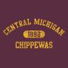 UGP Campus Apparel AH20 - Central Michigan Chippewas Athletic Arch HOODIE - 3X-Large - Maroon view 2