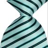 Geotae Zerun New Classic Men's Striped Silk Tie Necktie (Light Green/Black) view 2