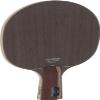 STIGA Pen 107065 Dynasty Carbon Table Tennis Racket view 1