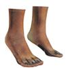 NOVELTY GIANT WWW.NOVELTYGIANT.COM Adult 3D Animal Paw Feet Print Foot Crew Socks Elastic Hosiery Dog view 1