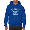 UGP Campus Apparel AH20 - University at Buffalo Bulls Athletic Arch HOODIE - Medium - Royal view 2
