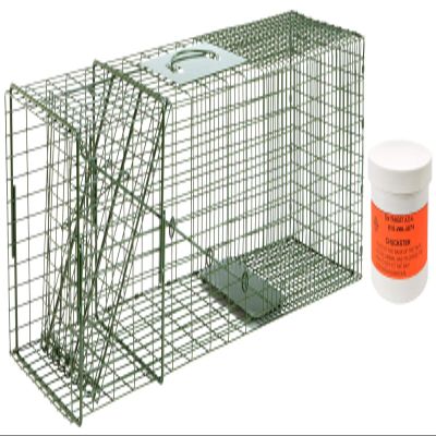 Duke #3 Model 1110 Standard Single Door Cage Trap with On Target A.D.C. Chuckster 6oz Bait Included