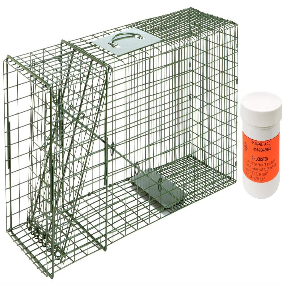 Duke #3 Model 1110 Standard Single Door Cage Trap with On Target A.D.C. Chuckster 6oz Bait Included