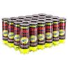 Penn Championship Extra Duty Tennis Ball Case view 1