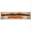 Lacey Wigs Errol Flyn Mustache view 1
