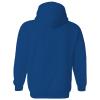 UGP Campus Apparel AH20 - FGCU Eagles Athletic Arch HOODIE - Small - Royal view 3