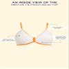 Swimsuits For All Women's Mentor Tie Front Bikini Top - 10, Animal Print (Plus view 3