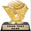 Crown Awards Volleyball Trophies with Custom Engraving, 6" Personalized Gold Fireball Volleyball Trophy On Black Base 10 Pack view 1