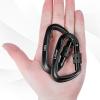 3 Heavy Duty Carabiner Clips 12kN (2697 lbs)-Lightweight Locking Carabiners for Securing PetsCamping, Hiking, HammockOutdoor and Gym etc, Keychains& Utility view 2
