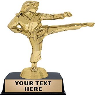 Crown Awards Karate Trophies with Custom Engraving, 6" Personalized Female Karate Kick Trophy On Black Base 50 Pack Prime