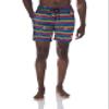 2(X)IST Men's Quick Dry Printed Board Short with Pockets Swimwear, Love Stripe-Rainbow- 97007, Small view 1