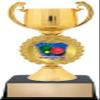 Crown Awards Bocce Ball Trophies with Custom Engraving, 6" Personalized Bocce Ball Trophy On Black Base 10 Pack Prime view 1
