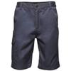 Regatta Mens Pro Cargo Shorts (36in) (Navy) view 1