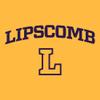 UGP Campus Apparel YS03 - Lipscomb Bisons Arch Logo Youth T-Shirt - Small - Gold view 4