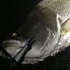 Gamakatsu TGW Twin SP-M NSC Treble Hook, Rose, Rose view 3