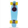 REMIGHTELY BRIGHT 22-inch Professional Fish Plate, 4 Rounds of Skateboard for Beginners and Young People (5 Colors Available) (Color : Light Blue) view 1