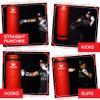 PROLAST 4 ft 80lb Heavy Boxing Punching Bag, Muay Thai, MMA, Strength Training Equipment, Hanging, Unfilled, No D Ring, Rhino Logo, Red view 2