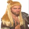 Forum Novelties Men's Viking Warrior Costume Wig, Blonde, One Size view 1