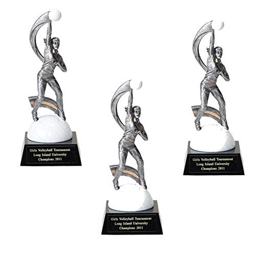 SHOP AWARDS AND GIFTS Customizable 8 Inch Hand Painted Silver Resin Female Volleyball Trophy, Includes Personalization - Pack of 3