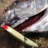 Gamakatsu TGW Twin SP-MH Treble Hook Rose Silver view 3