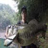 Gamakatsu TGW Twin SP-MH Treble Hook Rose Silver view 4