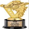 Crown Awards Go Kart Trophies with Custom Engraving, 7.25" Personalized Gold Fireball Go Kart Racing Trophy On Deluxe Round Base 50 Pack view 1