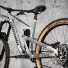 Riesel Design Protective Stickers Triangle Rear Bike Frame - Tape 3000 Honeycomb - Maori view 4