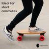 Eggboards Mini Longboard Cruiser Skateboard Complete | 19'' x 9'' | Portable Bamboo Cruiser Board. Easy to Carry, Smooth to Ride. Short Long Boards Skateboards for Adults, Beginners, Kids Skateboard. view 3
