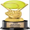 Crown Awards Softball Trophies with Custom Engraving, 7.25" Personalized Colorific Softball Trophy On Deluxe Round Base 10 Pack view 1