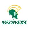 AH02 - Norfolk State Spartans Primary Logo Hoodie - X-Large - White view 2