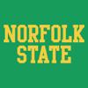 AH01 - Norfolk State Spartans Basic Block Hoodie - X-Large - Irish Green view 2
