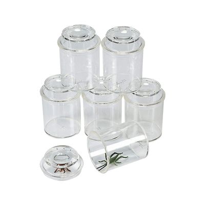 Fun Express See-Through Bug Box Jars Set for Educational Science & Nature Exploration Ideal for Kids Learning Activities Insect Observation & Outdoor Adventures Clear- 10 Pieces