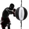 Alomejor Heavy Boxing Bag Punching Ball Boxing Ball Set for Stress Relief Boxing Speed Training view 2
