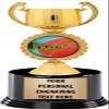 Crown Awards Frisbee Trophies with Custom Engraving, 7.25" Personalized Gold Ultimate Frisbee Trophy On Deluxe Round Base 50 Pack Prime view 1