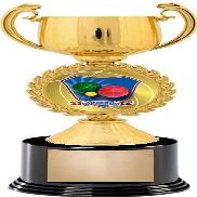 Crown Awards Bocce Ball Trophies with Custom Engraving, 7.25" Personalized Bocce Ball Trophy On Deluxe Round Base 10 Pack