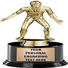 Crown Awards Wrestling Trophies with Custom Engraving, 7.25" Personalized Wrestling Male Trophy On Deluxe Round Base 10 Pack Prime