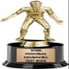 Crown Awards Wrestling Trophies with Custom Engraving, 7.25" Personalized Wrestling Male Trophy On Deluxe Round Base 10 Pack Prime view 1
