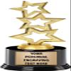 Crown Awards Gold Star Trophies with Custom Engraving, 7.25" Personalized Three Stars Recognition Trophy On Deluxe Round Base 10 Pack view 1