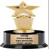 Crown Awards Star Trophies with Custom Engraving, 7.25" Personalized Gold Megastar Employee Recognition Trophy On Deluxe Round Base 10 Pack view 1