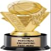 Crown Awards Basketball Trophies with Custom Engraving, 7.25" Personalized Gold Basketball Fireball Trophy On Deluxe Round Base 10 Pack view 1