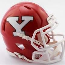NCAA Youngstown State Penguins Helmet Mini SpeedHelmet Replica Mini Speed Style, Team Colors, One Size