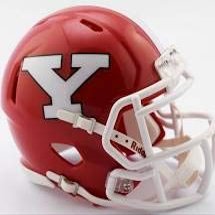 NCAA Youngstown State Penguins Helmet Mini SpeedHelmet Replica Mini Speed Style, Team Colors, One Size